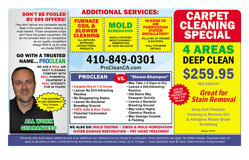 Business Print Ad Back