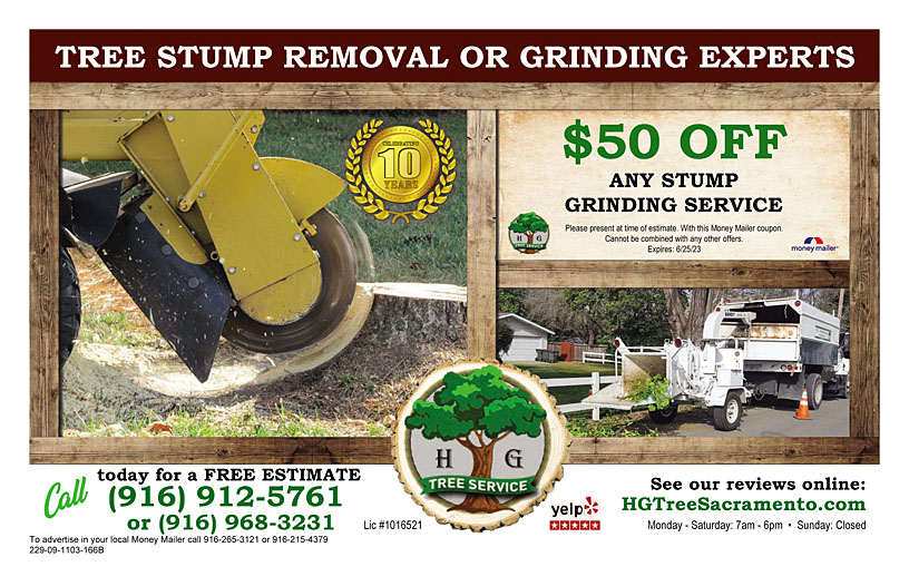 Business Print Ad Back