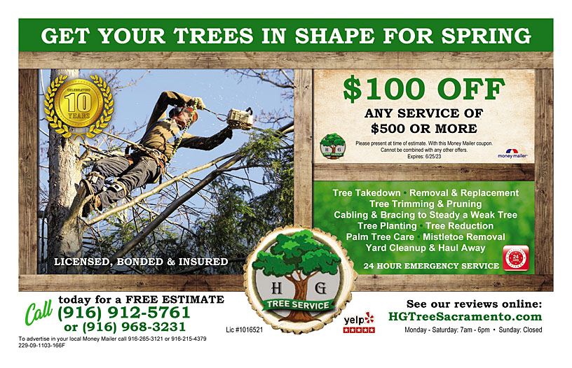 Business Print Ad Front