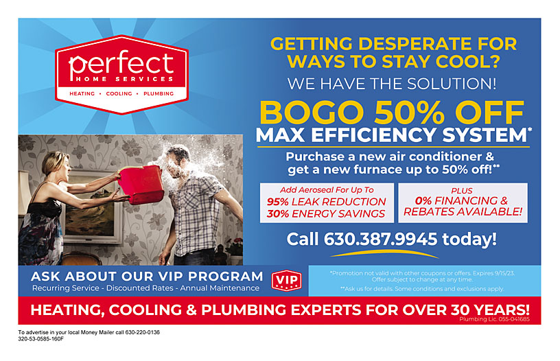 Perfect Home Services - Coupon u0026 Promo - , - Money Mailer