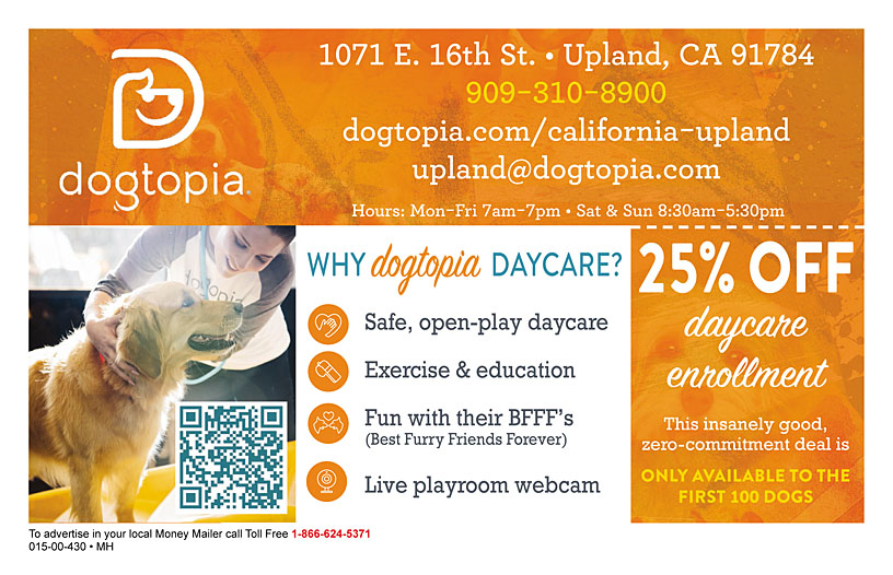 Business Print Ad Front