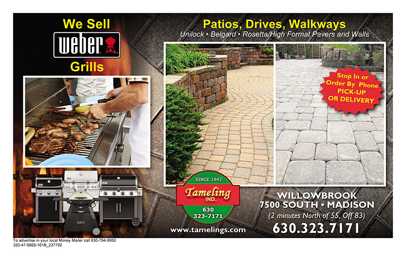 Business Print Ad Back