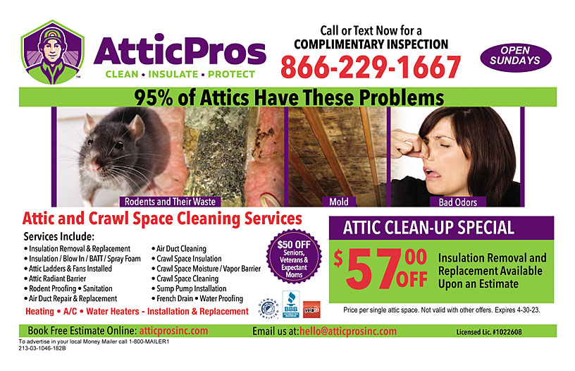 Business Print Ad Back