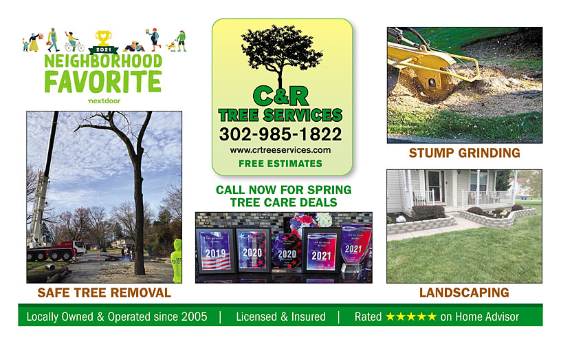 Business Print Ad Back