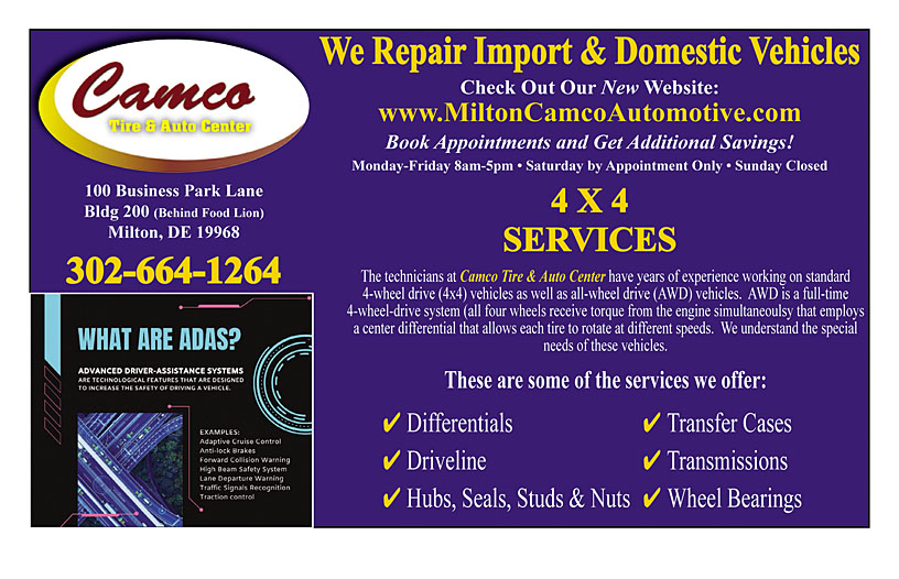 Business Print Ad Back