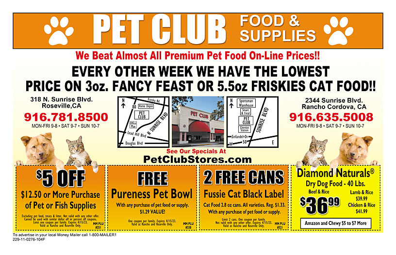 Business Print Ad Front