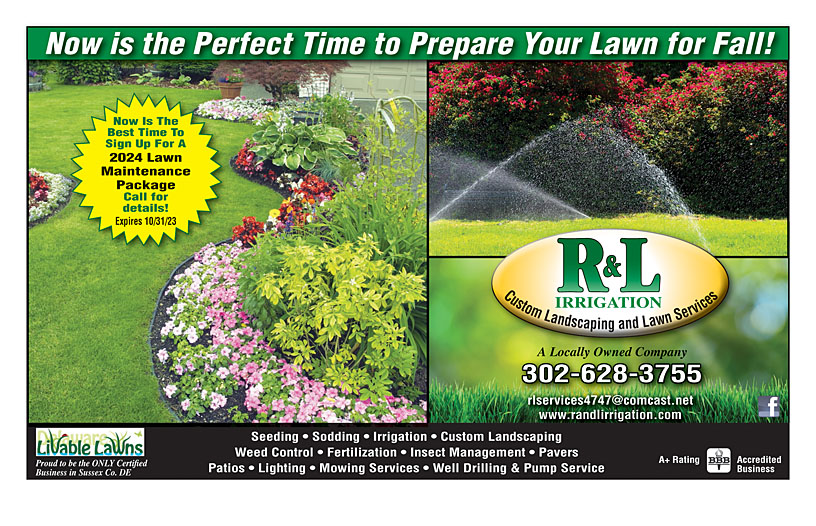 Business Print Ad Back