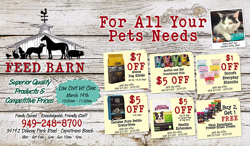 Business Print Ad Front