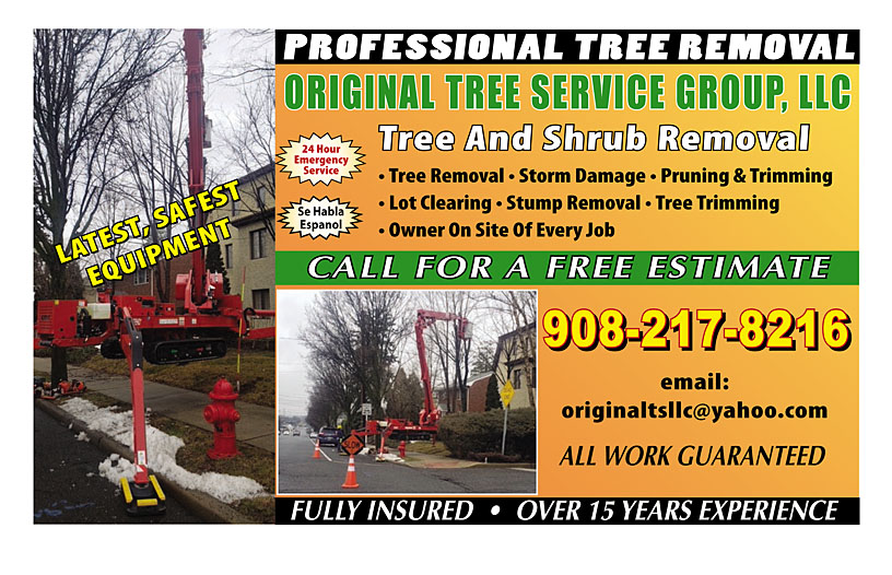 Business Print Ad Back