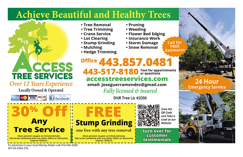 Business Print Ad Front