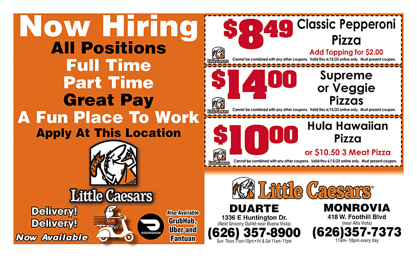 Business Print Ad Back