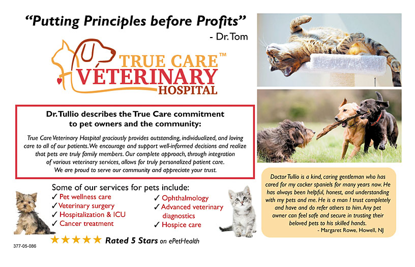 Business Print Ad Back