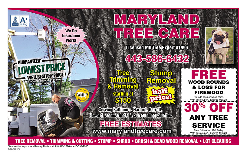 Business Print Ad Front