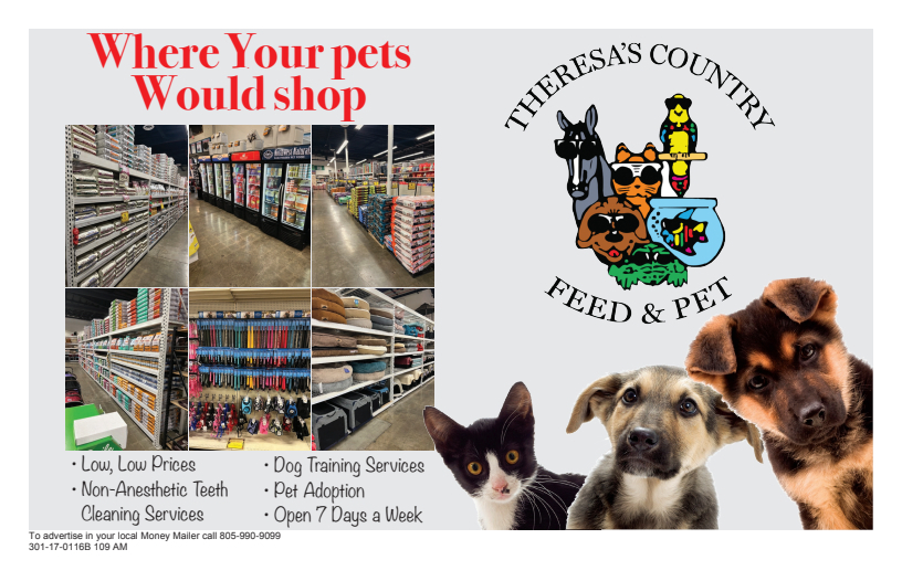 Theresa store pet store