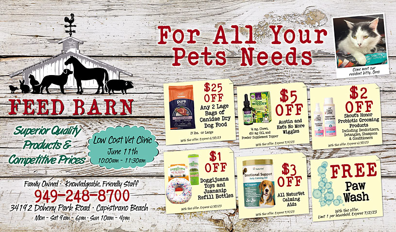 Business Print Ad Front