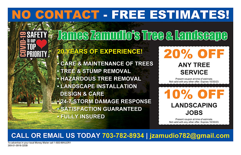 Business Print Ad Back