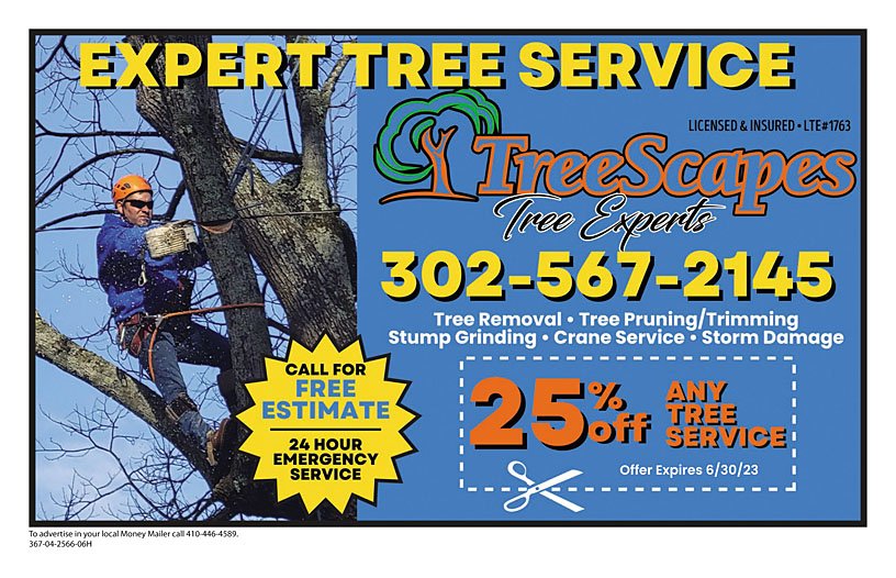 Business Print Ad Front