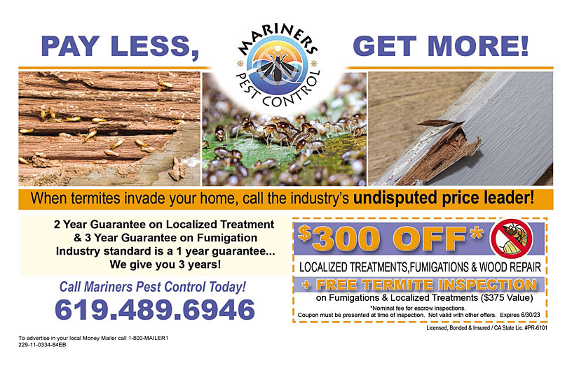 Business Print Ad Back