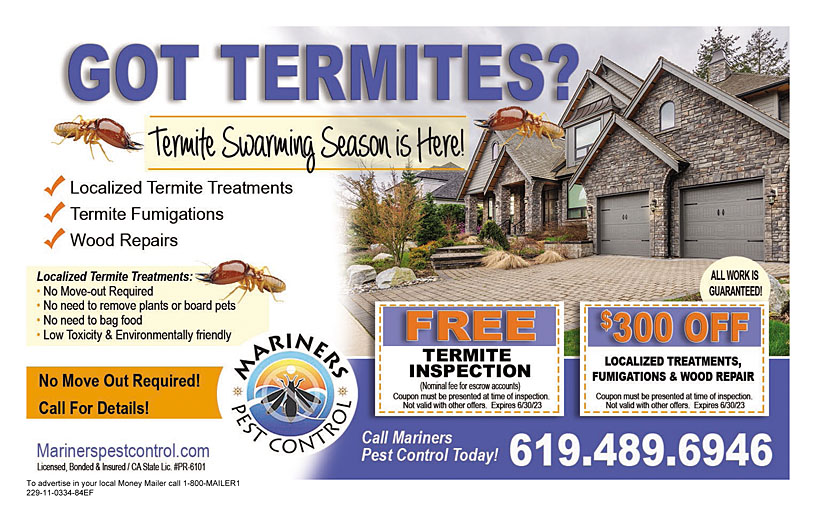 Business Print Ad Front