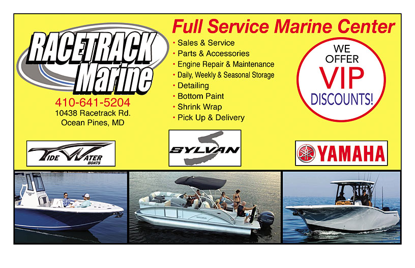 Business Print Ad Back