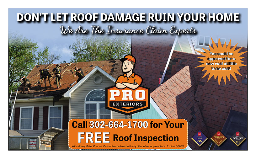 Business Print Ad Back