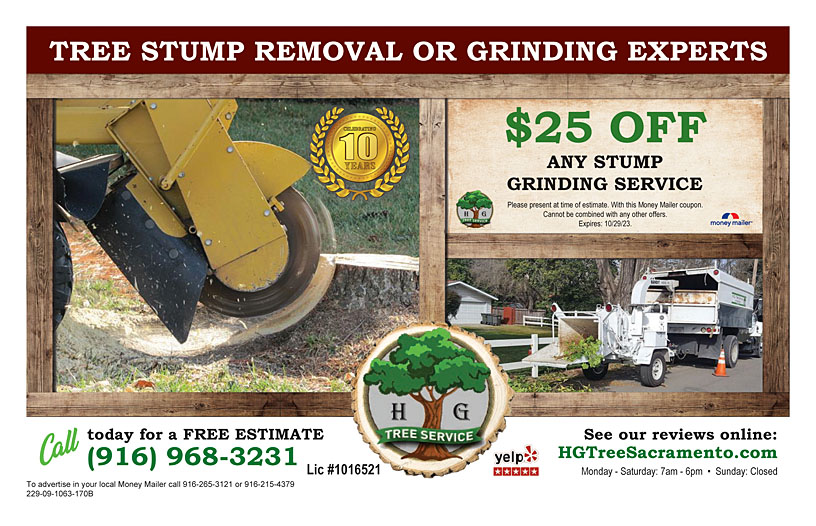 Business Print Ad Back
