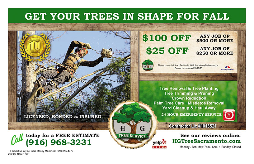 Business Print Ad Front