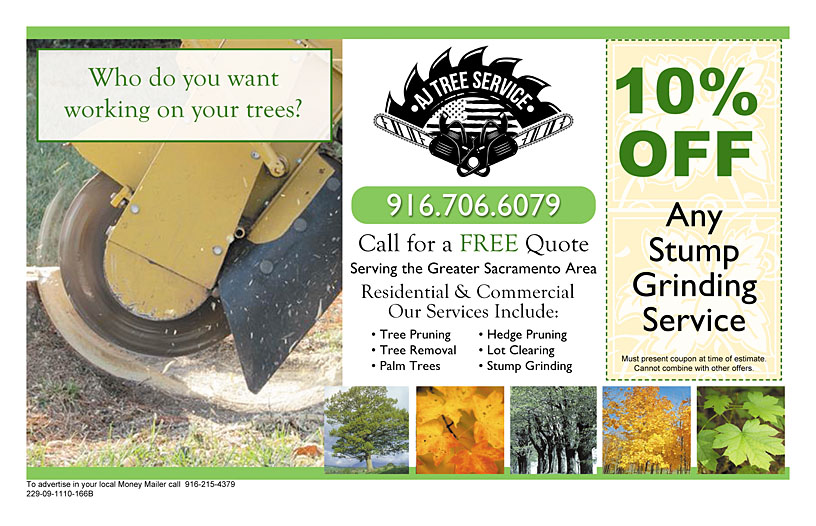 Business Print Ad Back