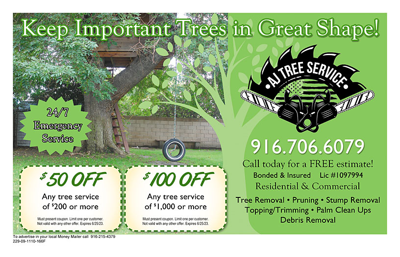 Business Print Ad Front