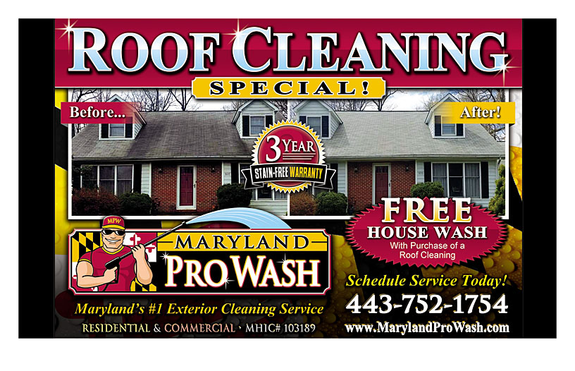 Business Print Ad Back