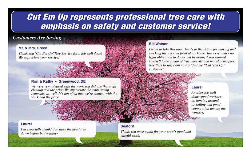 Business Print Ad Back