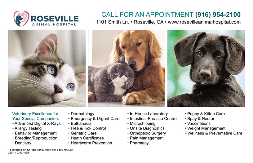 Roseville Animal Hospital - Coupon & Promo - Roseville, CA - Money Mailer