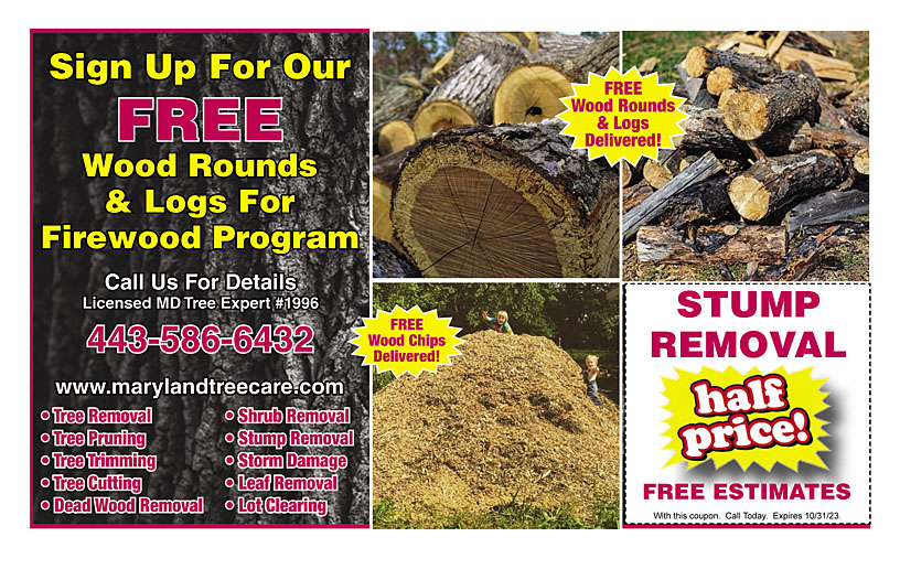 Business Print Ad Back