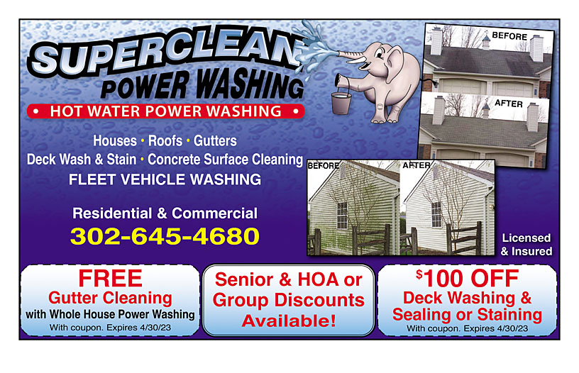 Business Print Ad Back